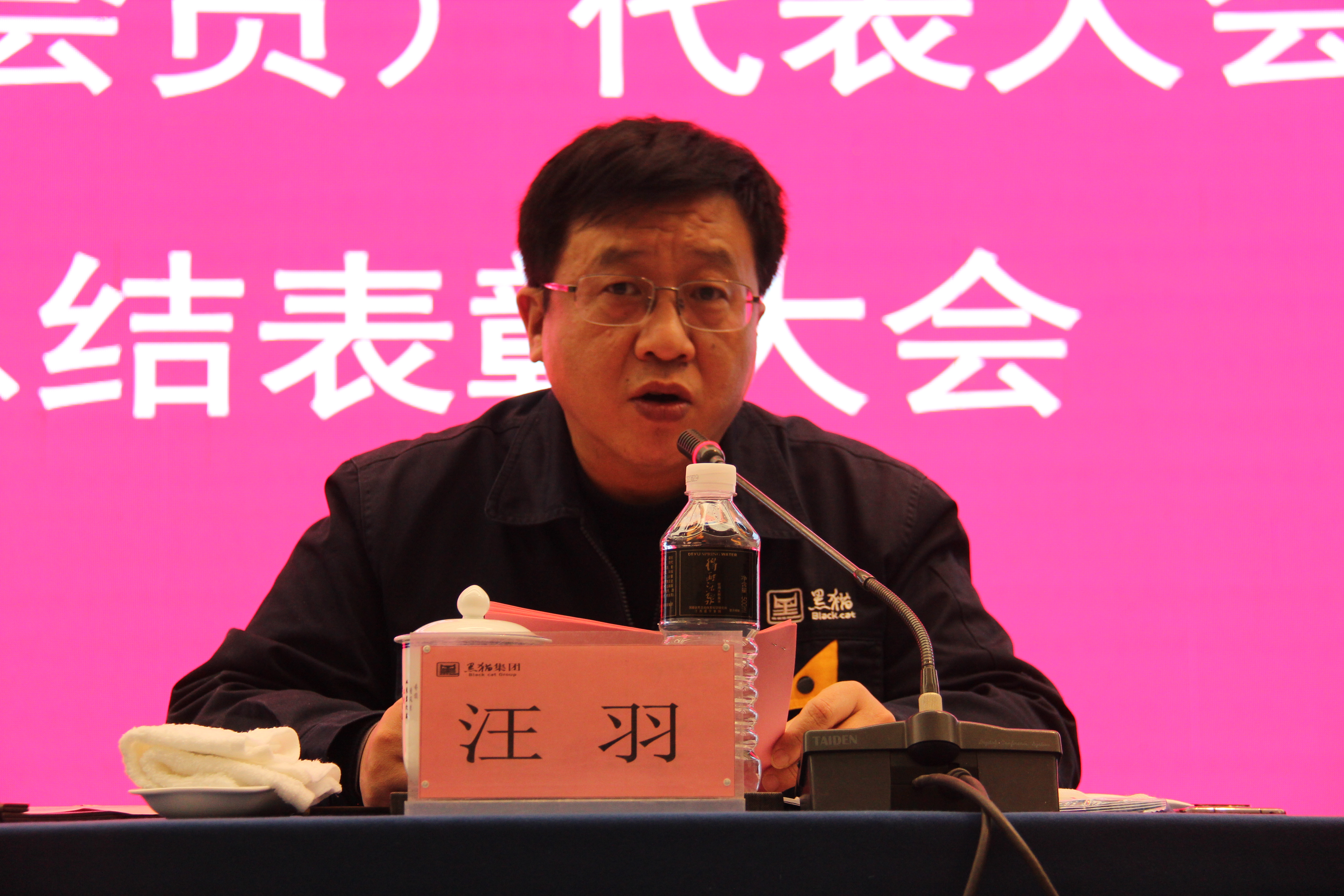 黑貓集團(tuán)黨委副書記、總經(jīng)理汪羽發(fā)言 (2).JPG